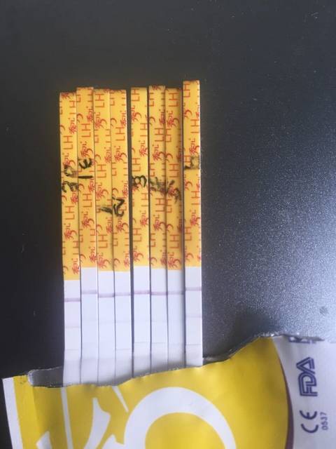 号末次_9号末次月经,到现在一直弱阳,胸部疼,小