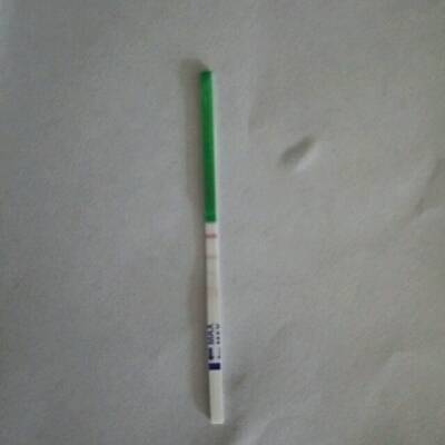 没有像蛋清一样的哪种东西,过后经常不电话,今天是规律月经的第八天了呼和浩特夹心月经海苔图片