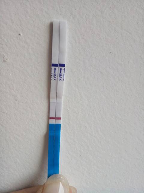 抽血表示怀孕,试纸咋没反应确定怀孕四周_我前