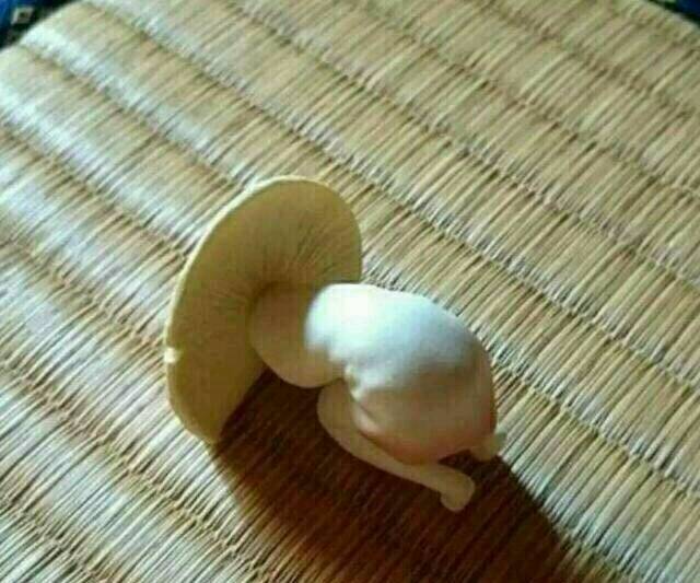 痛经痛经_真的不想做女人了。每个月痛经折磨