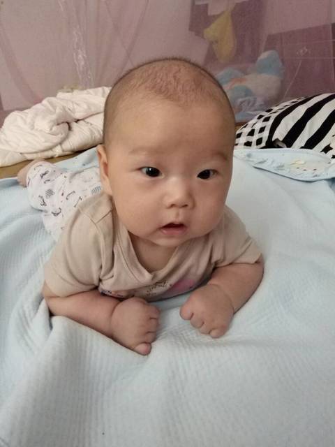 爱你全心全意_宝宝每个接段_宝宝树