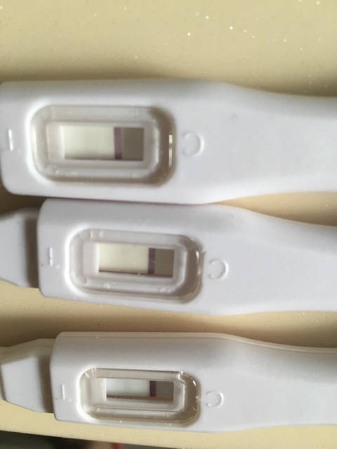 月经31天可丽蓝试纸测出弱阳,验血却没验出来