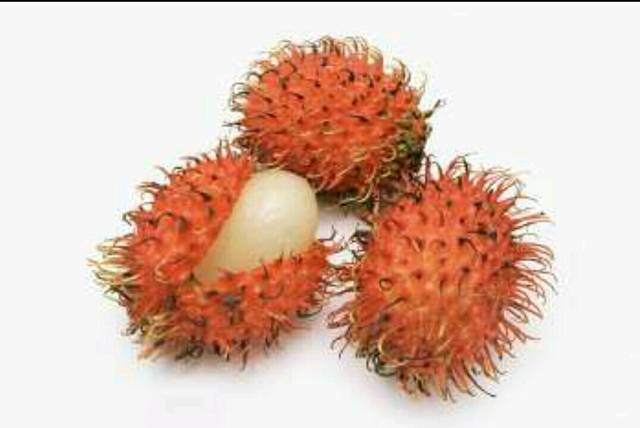 可以红毛丹吗?_请问孕妇可以吃红毛丹吗?我爸