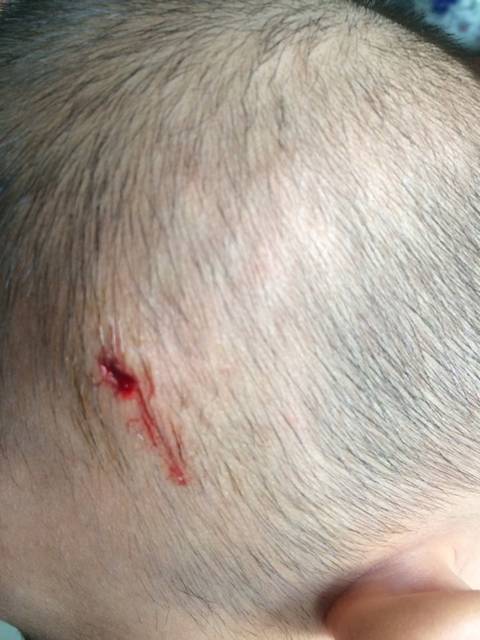 我他妈是日了狗了,一万个草泥马飘过!_楼下说