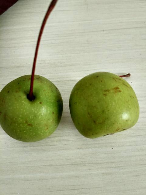 宝宝鹅口疮痛得不吃奶