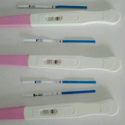 journal_insert_pic_578505534