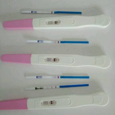 journal_insert_pic_578505942