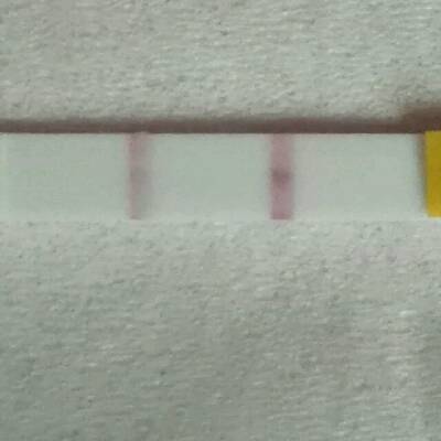 journal_insert_pic_589799381