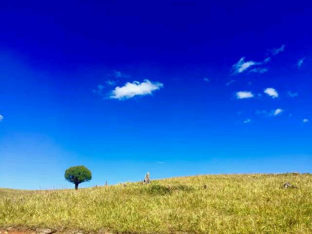 月经推算和B超有差别,按哪个算_按月经推算,现