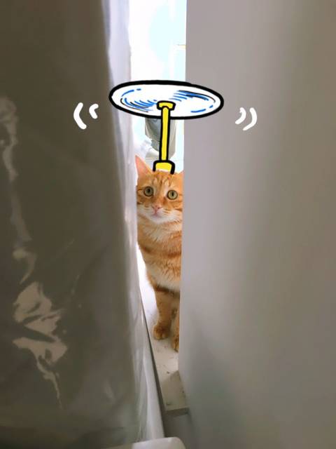 奶粉冲调比例_如果宝宝吃60ml奶,是加多少水和