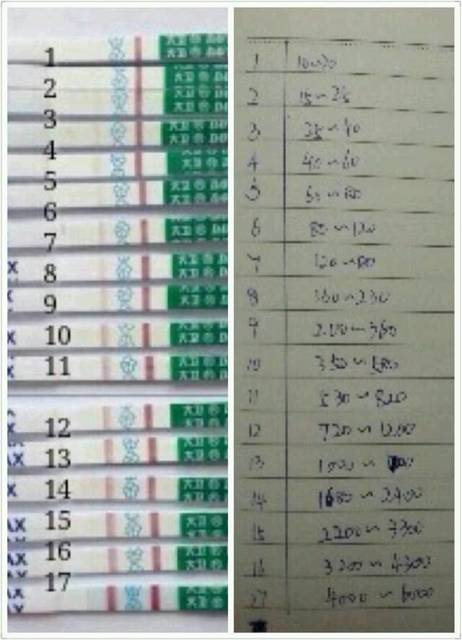 HCG与试纸_hcg与试纸颜色对比。