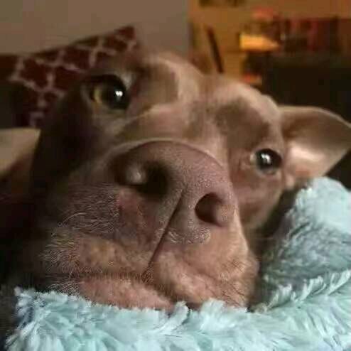 头昏沉沉,看远处,视力模糊怎么破_难受,都快2个