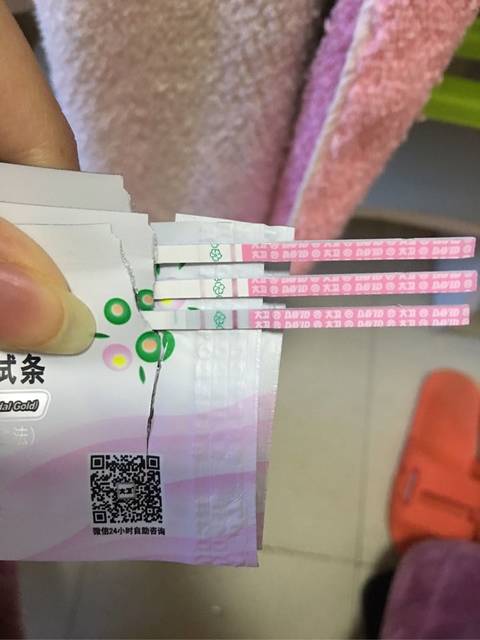 11月5号,移植冻囊两枚_人工周期,11月5号,移植