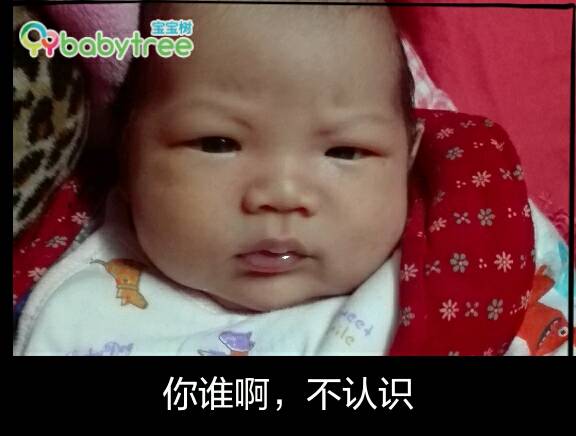 【互动聊天】专业坑娃,DIY专属表情,让你有奖情表包果水卖图片
