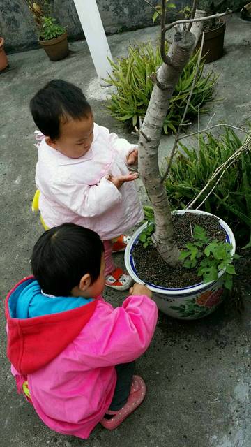 我宝宝十一个月就走路了_女宝,爬着爬着自己就