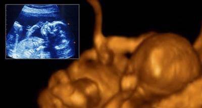 揭秘:怀孕十个月胎儿发育全过程图_十月怀胎,