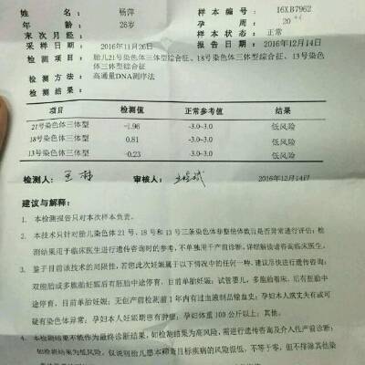 上次说唐氏筛查是低风险,这次做的无创DNA.结
