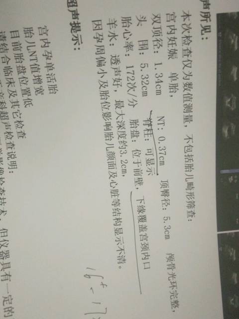 nt值正常值是多少_12周检查nt值是0'37厘米正