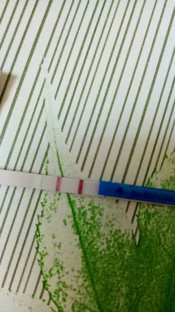 怀孕初期反胃不吐