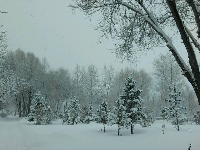 怀孕9周,情绪不稳,需要被关心,而老公,_怀孕9周