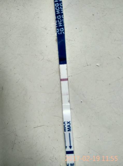 多囊卵巢综合症是不是怀孕了_这是不是怀孕了