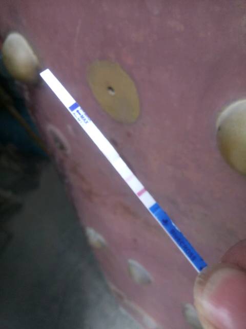 好怕宫外孕,宝妈们帮忙看看!