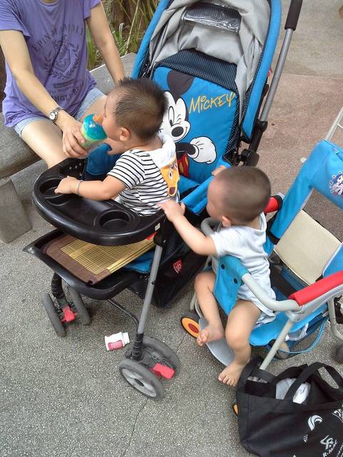 我家的新鲜事作文素材_我们家的新鲜事