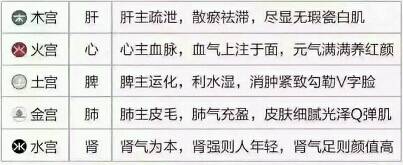 内脏和脸的惊人关系_我们身体的各部分都是以