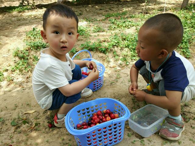 带宝宝们去户外骑平衡车!_我们小区五个宝宝,