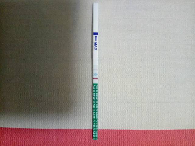 姐们帮我判断一下是否怀孕,以及去医院验孕是