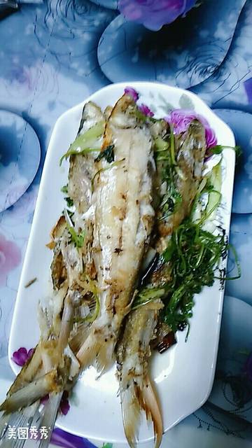 小小张爷爷做的小白鱼,卖相一般,不过味道棒棒
