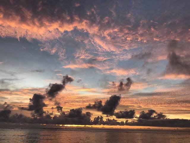 哈哈哈 宝宝的美国护照拿到了