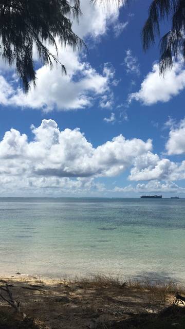 哈哈哈 宝宝的美国护照拿到了