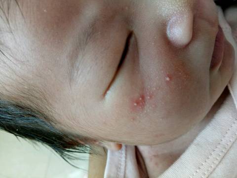 journal_insert_pic_979905979