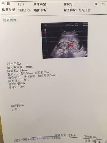 孕4个月,胎儿双顶径40mm,股骨长24mm,腹径左