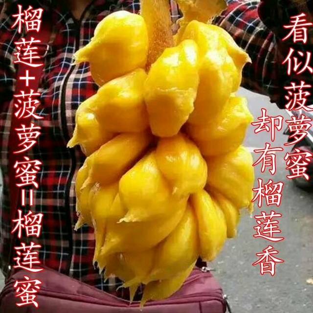 榴莲蜜你吃过吗