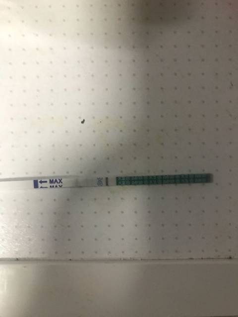 美腾科技收盘上涨108%滚动市盈率4483倍总市值1823亿元