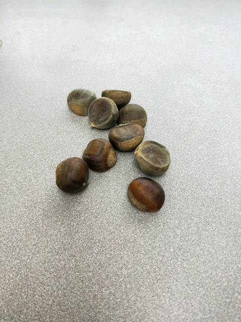 发现一个治疗便秘的方法