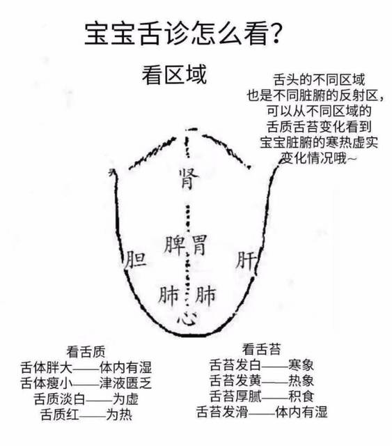 小儿积食舌苔图片