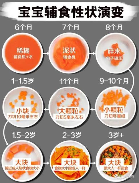 100款宝宝食谱+30款宝宝辅食粥