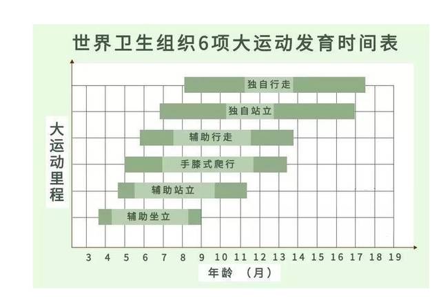 世界卫生组织发报宝宝六项大运动发育时间