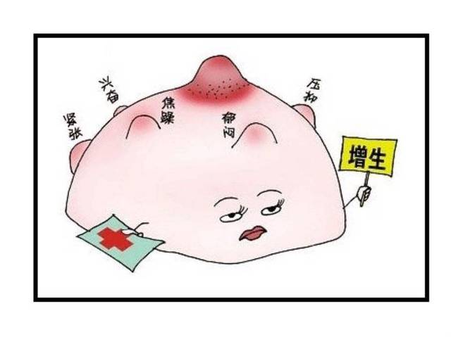 到现在乳房都没有变化,是怀了一个假孕?