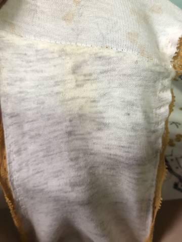 journal_insert_pic_1580759366