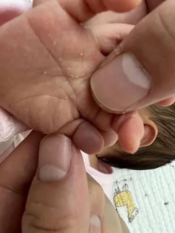 journal_insert_pic_1774969156