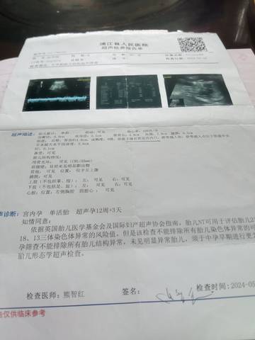 journal_insert_pic_4115503604
