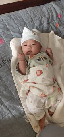 journal_insert_pic_4118372527