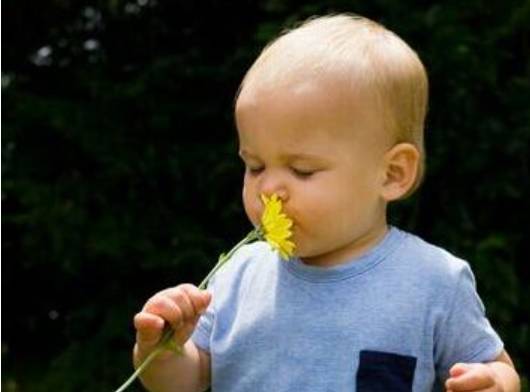 了解宝宝0-6岁嗅觉和味觉发育特点