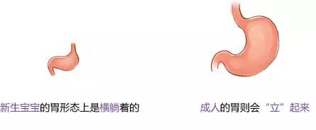 宝宝溢奶、吐奶?愁死人,学会这几招轻松应对!