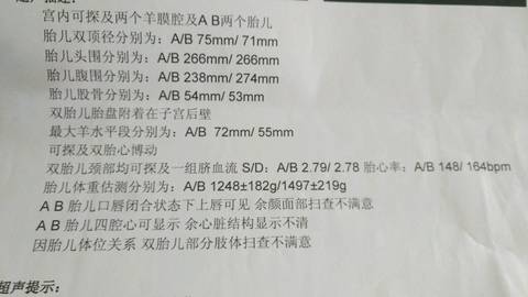 journal_insert_pic_541473523