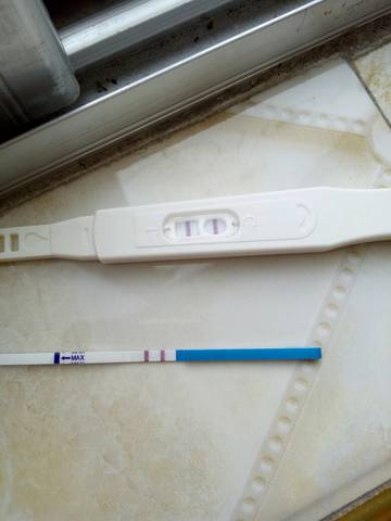 journal_insert_pic_542841346